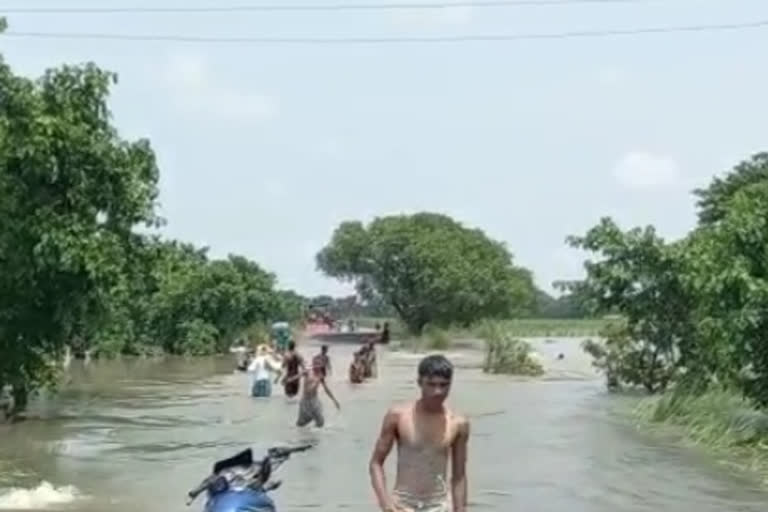 प्रदेश में बाढ़ के हालात पर नजर