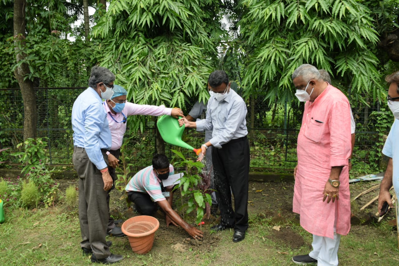 বৃক্ষরোপণ করলেন কলকাতা পৌরনিগমের মুখ্য প্রশাসক ফিরহাদ হাকিম