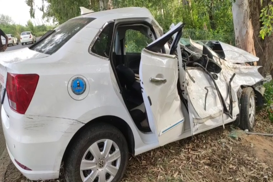 speedy car collision tree hisar