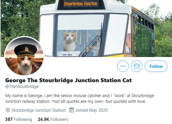 george the cat  chief mouse catcher  chief mouse catcher george  ജോർജ് പൂച്ച  ചീഫ് മൗസ് ക്യാച്ചർ ജോർജ്  ചീഫ് മൗസ് ക്യാച്ചർ