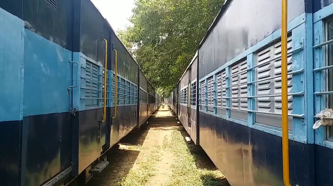 narrow gauge train