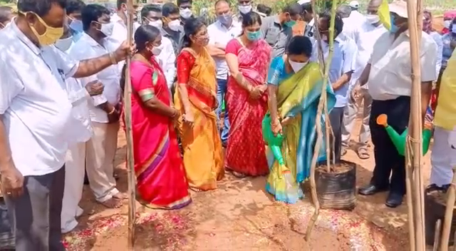 haritha haram in yadadri