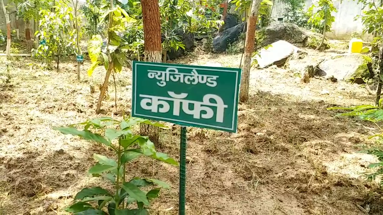 for-save-environment-paryavaran-dharm-mandir-establishing-by-kaushal-kishore-jaiswal-in-palamu