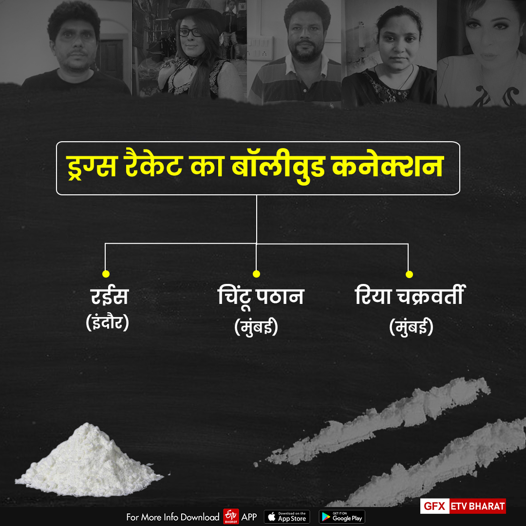 बॉलीवुड से कनेक्शन