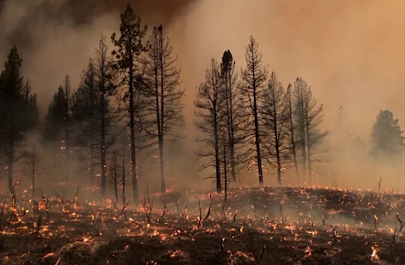 California wildfire