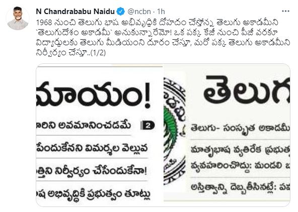 chandrababu nadiu comments on telugu academy