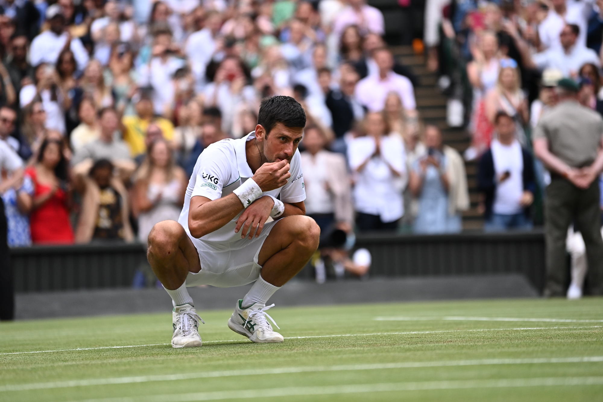 Novak Djokovic beats Matteo Berrettini to win his 6th Wimbledon title