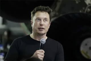 elan musk