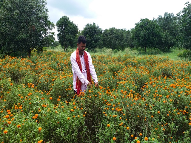 lohardaga's farmer akhilesh cultivate flowers in a different way