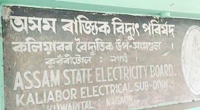 Electricity Bill Payment at Kaliabor