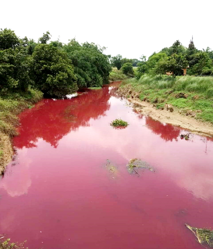 হুগলি জেলায় দূষণে মুহ্যমান ঘিয়া নদী ৷