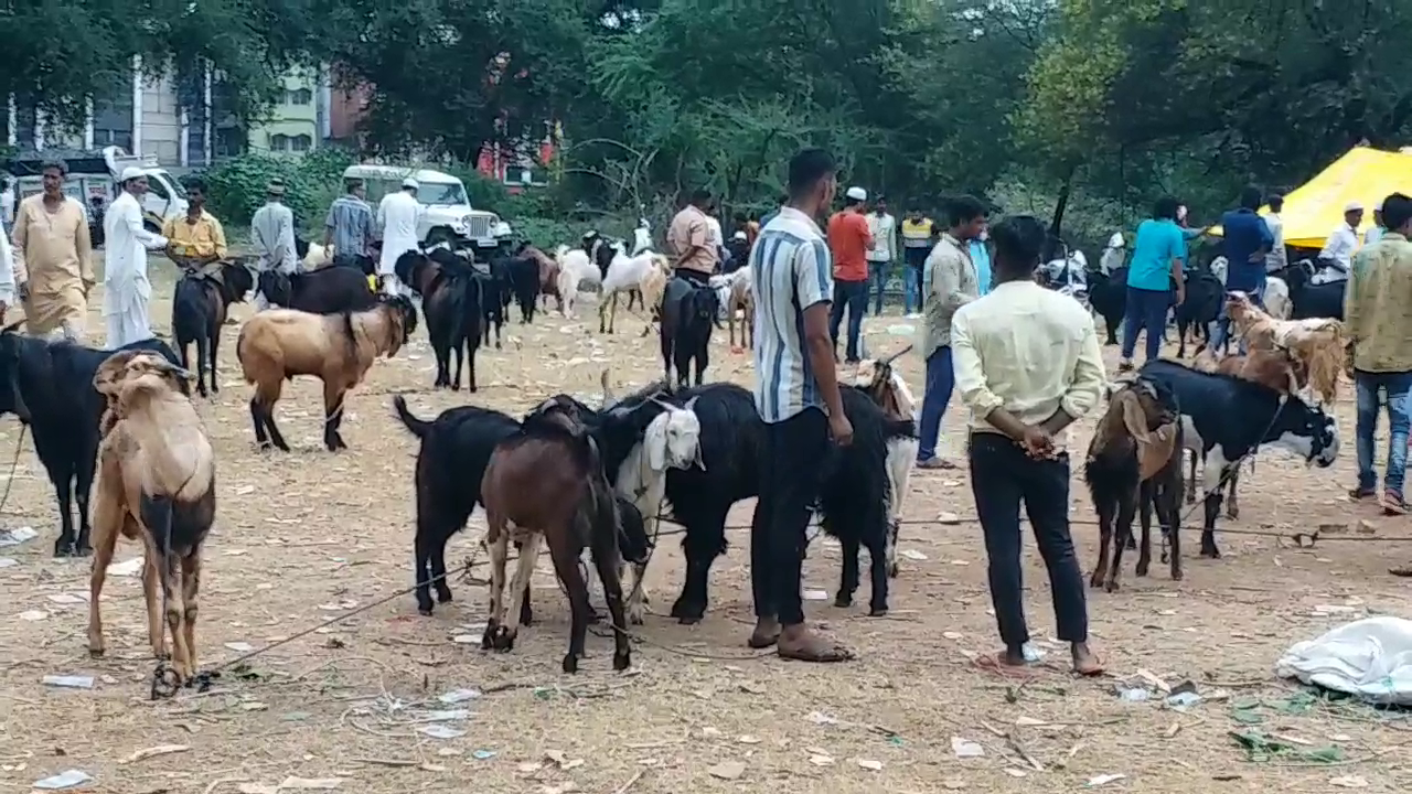 bakra eid