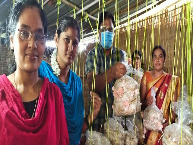 Gangavati woman mushroom Forming