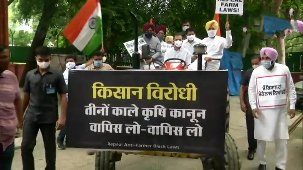 Congress leader Rahul Gandhi drives a tractor to reach Parliament