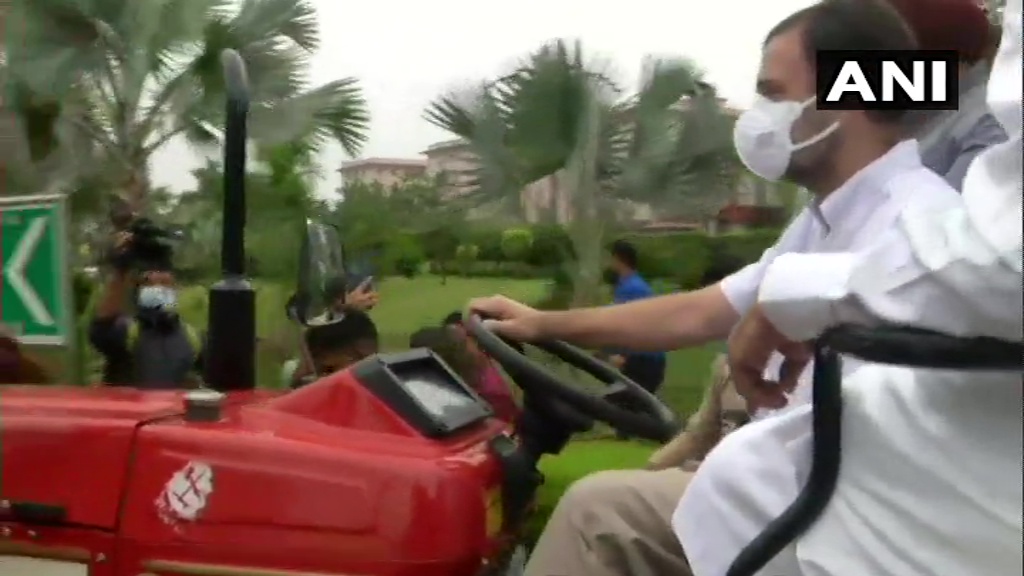 Congress leader Rahul Gandhi drives a tractor to reach Parliament