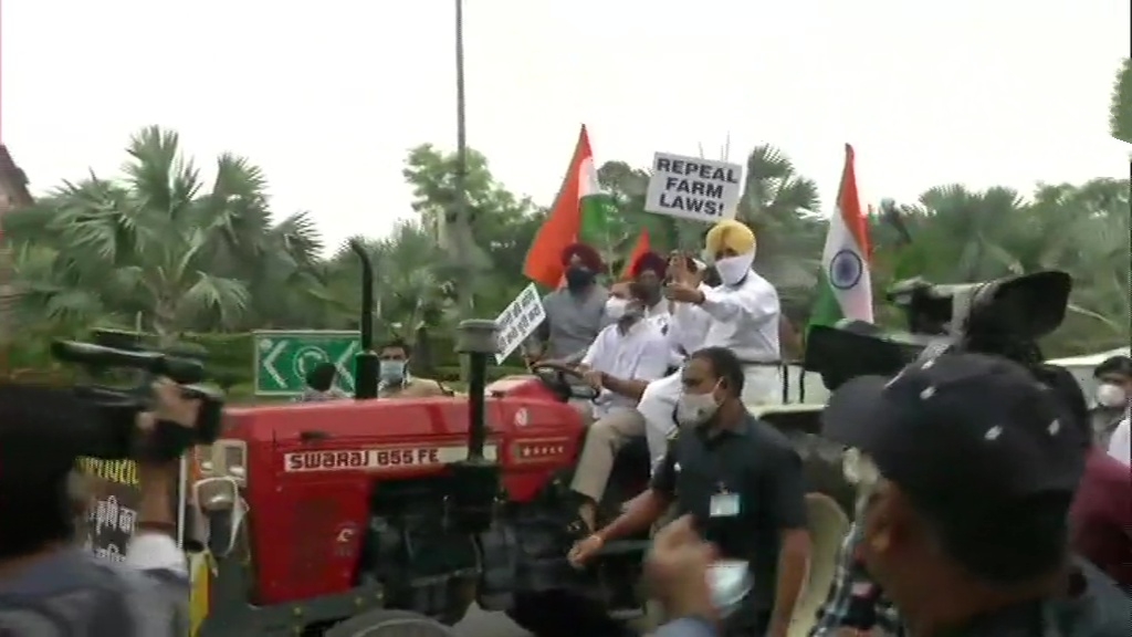 Congress leader Rahul Gandhi drives a tractor to reach Parliament