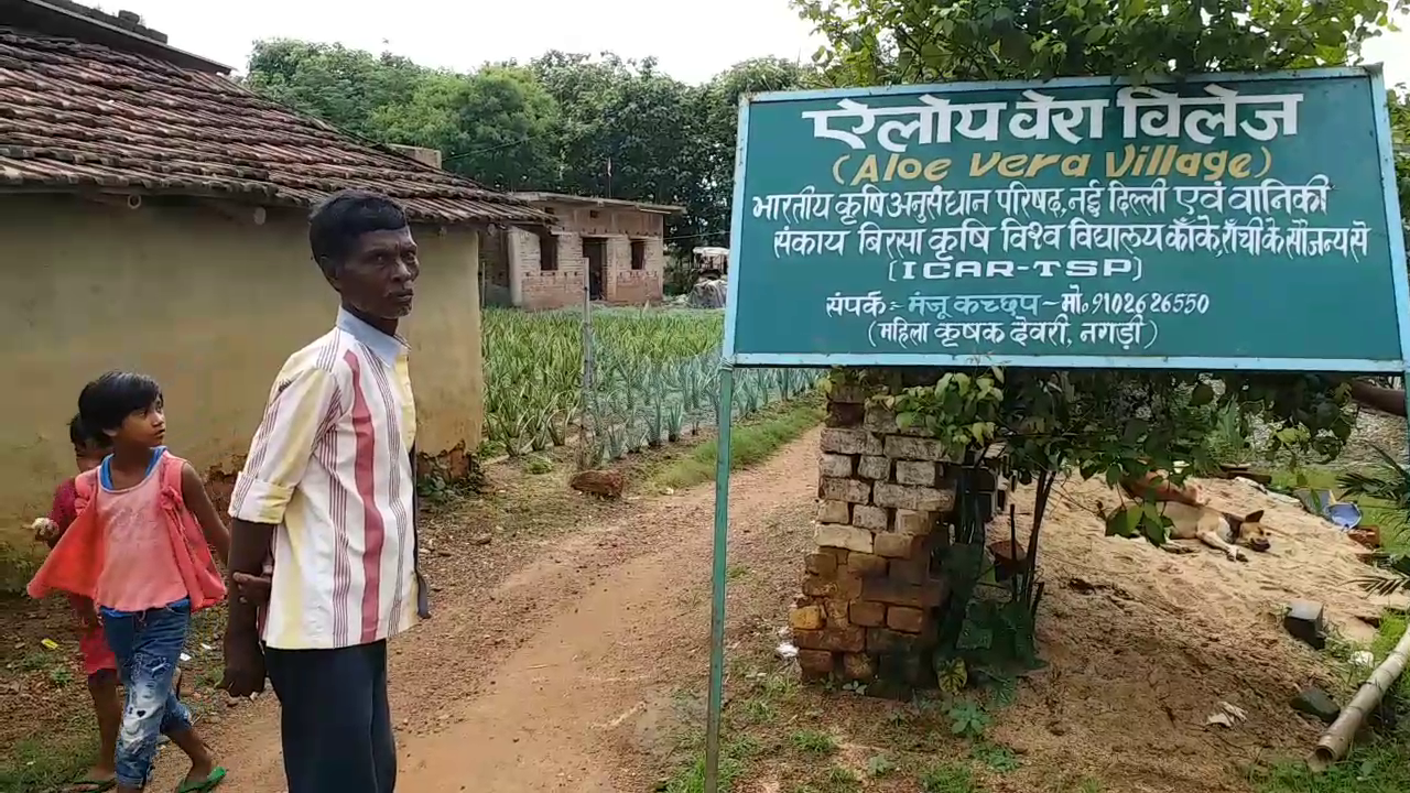 mukhiya-manju-kachhap-made-aloe-vera-village-in-ranchi