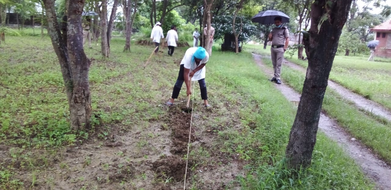 herbal-farming-has-been-started-in-the-jails-of-uttarakhand