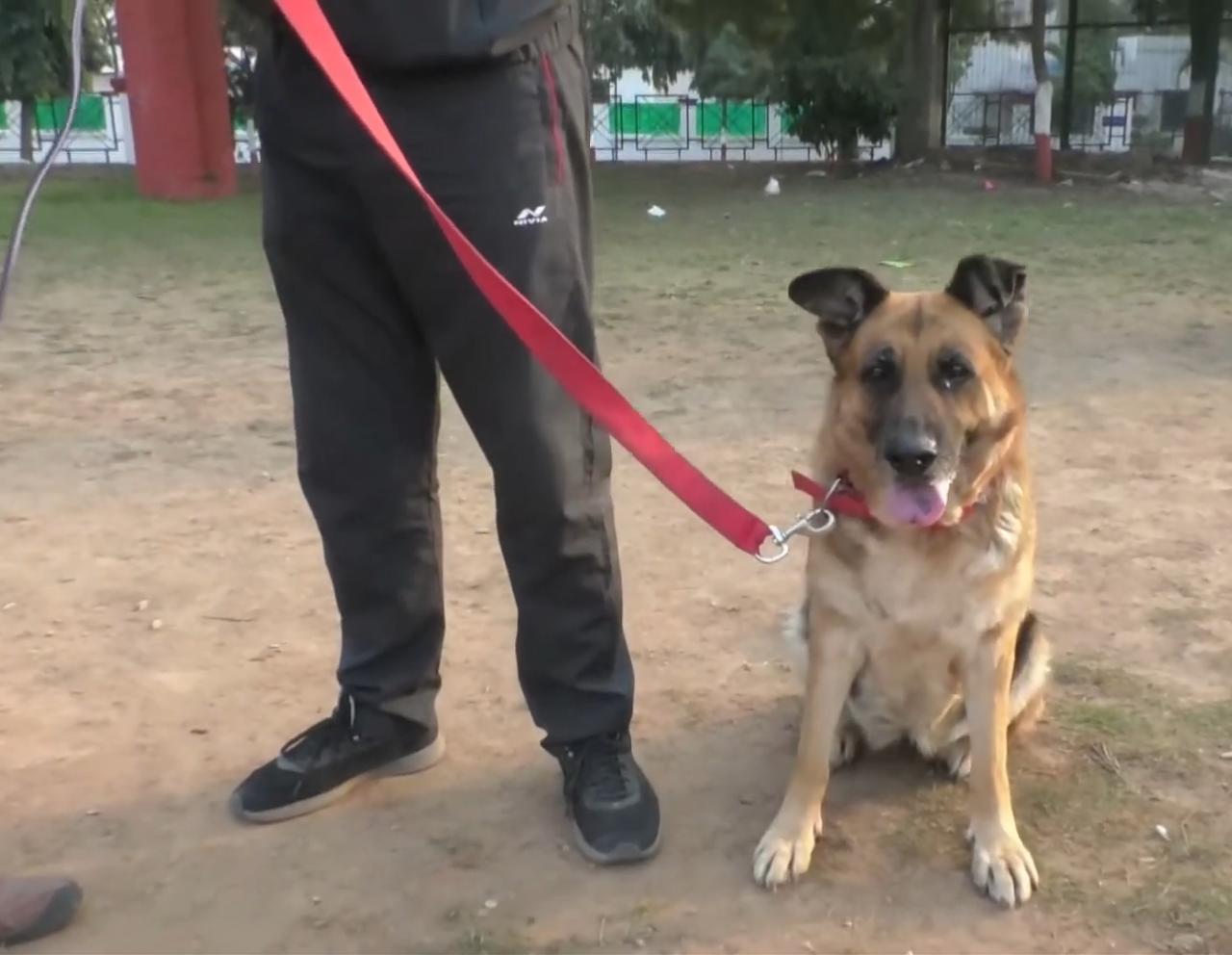 dehradun-polices-helpful-princess-doggy-dies-due-to-heart-attack