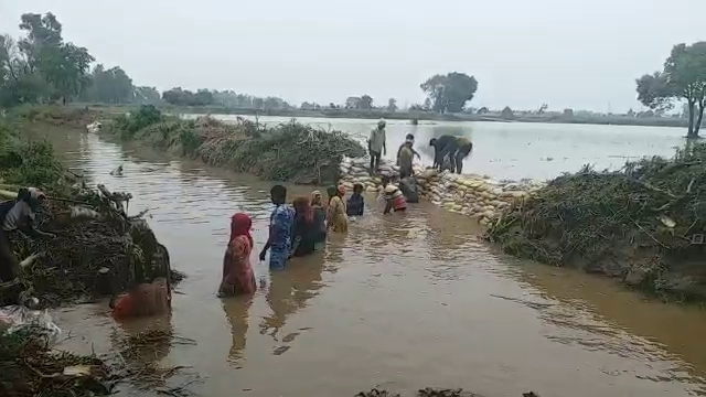 Karnal rain farmers crop wasted