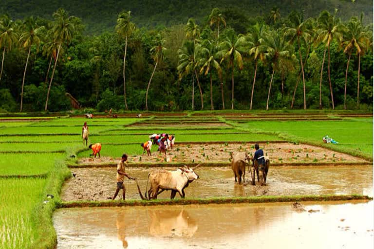 விவசாயிகளை கண்டுகொள்ளாததால் சந்திக்கப் போகும் பேராபத்து; தீர்வு என்ன?