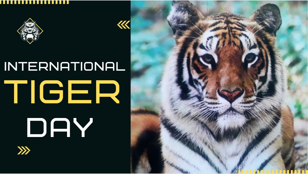 international tiger day 2021