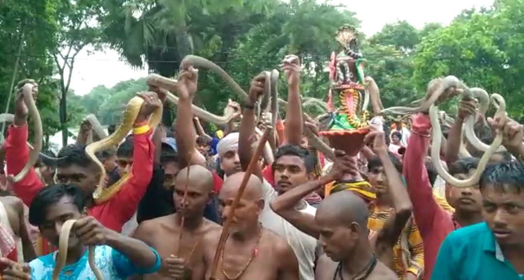 parade with snakes on Nag Panchami in Samastipur