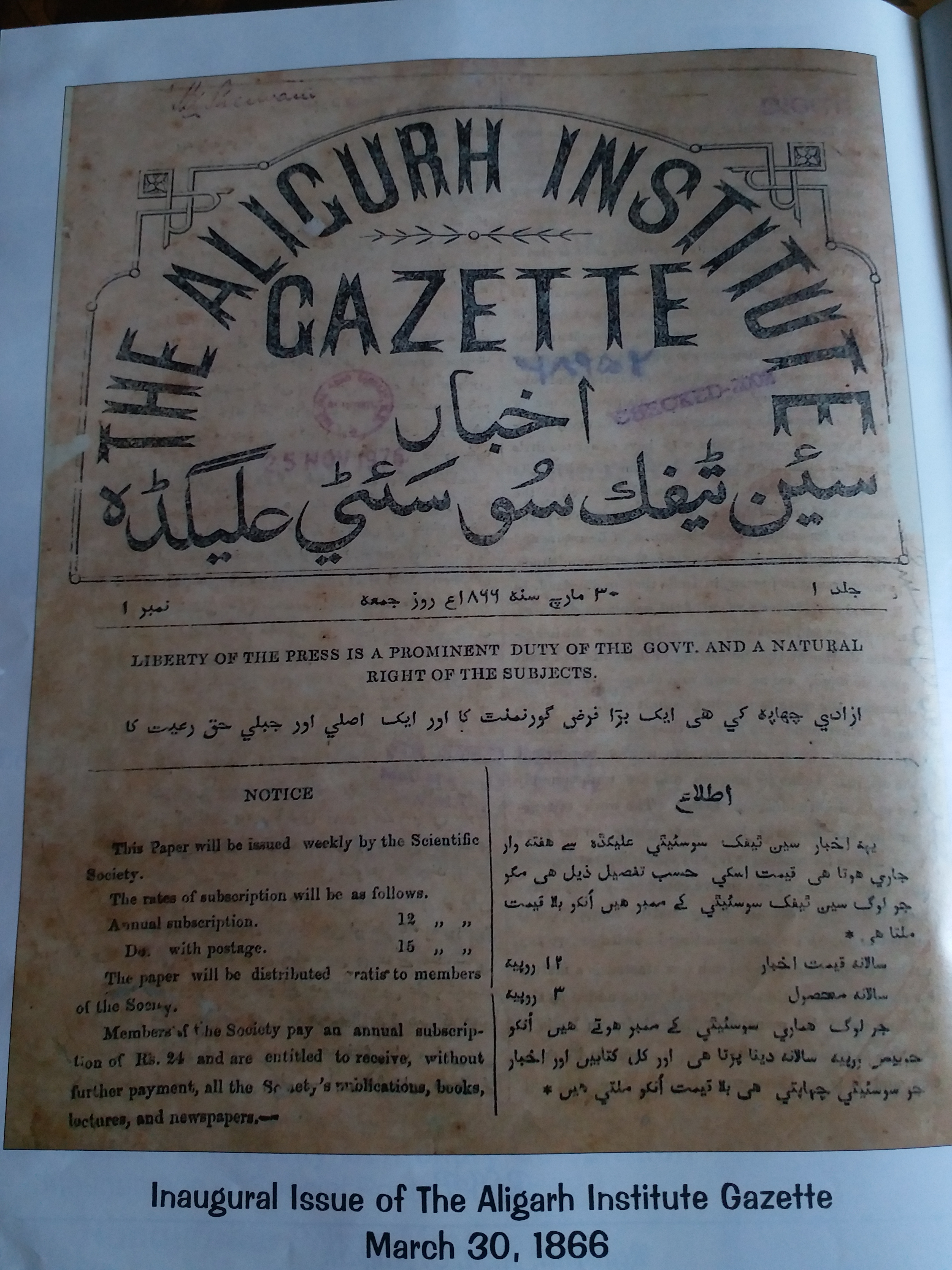 amu gazette