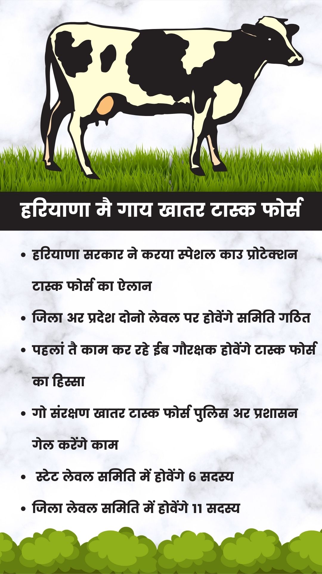 Haryana Special Cow Protection Task Force