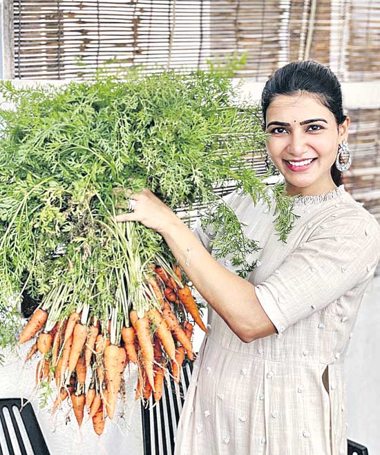 heroines farming