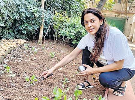 heroines farming