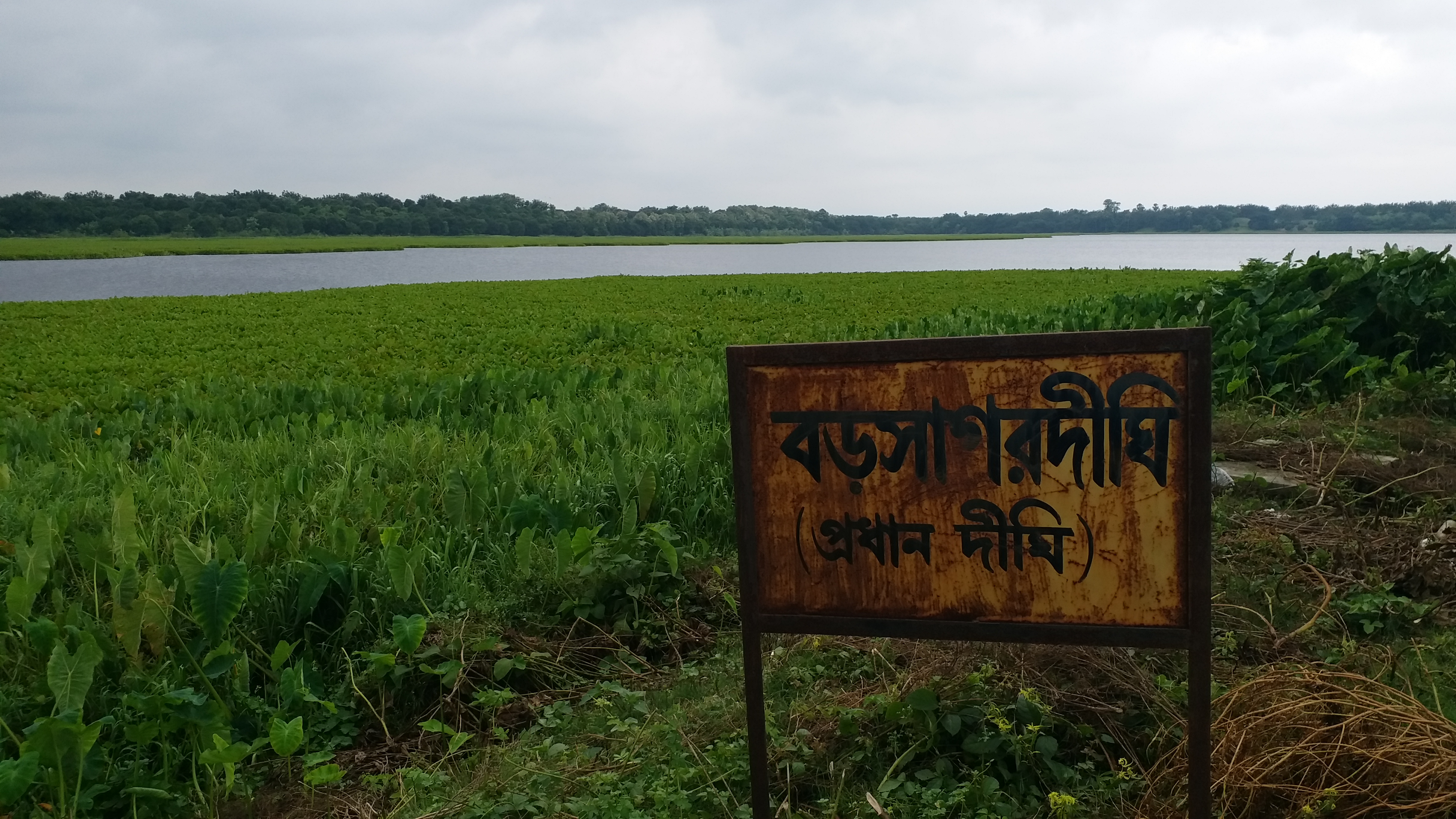 ইতিহাস পর্যটন