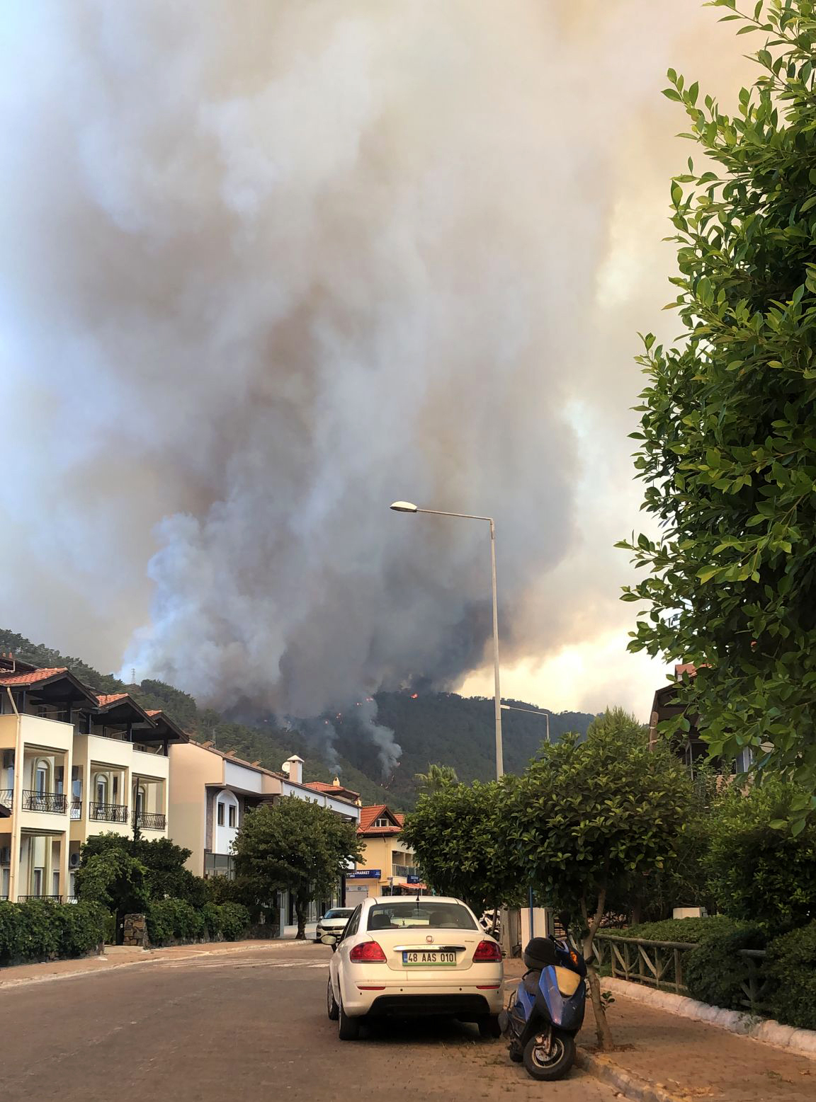 wildfire losses in turkey