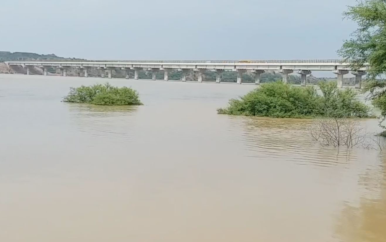 chambal river in madhyapradesh