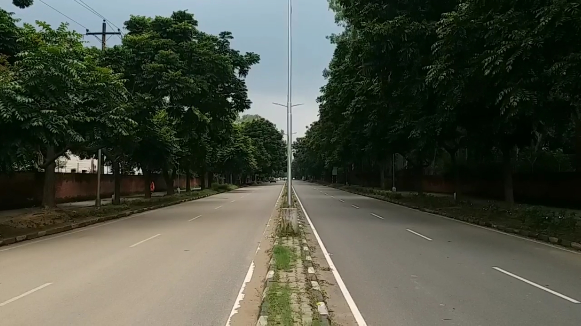 Chandigarh roads named on trees