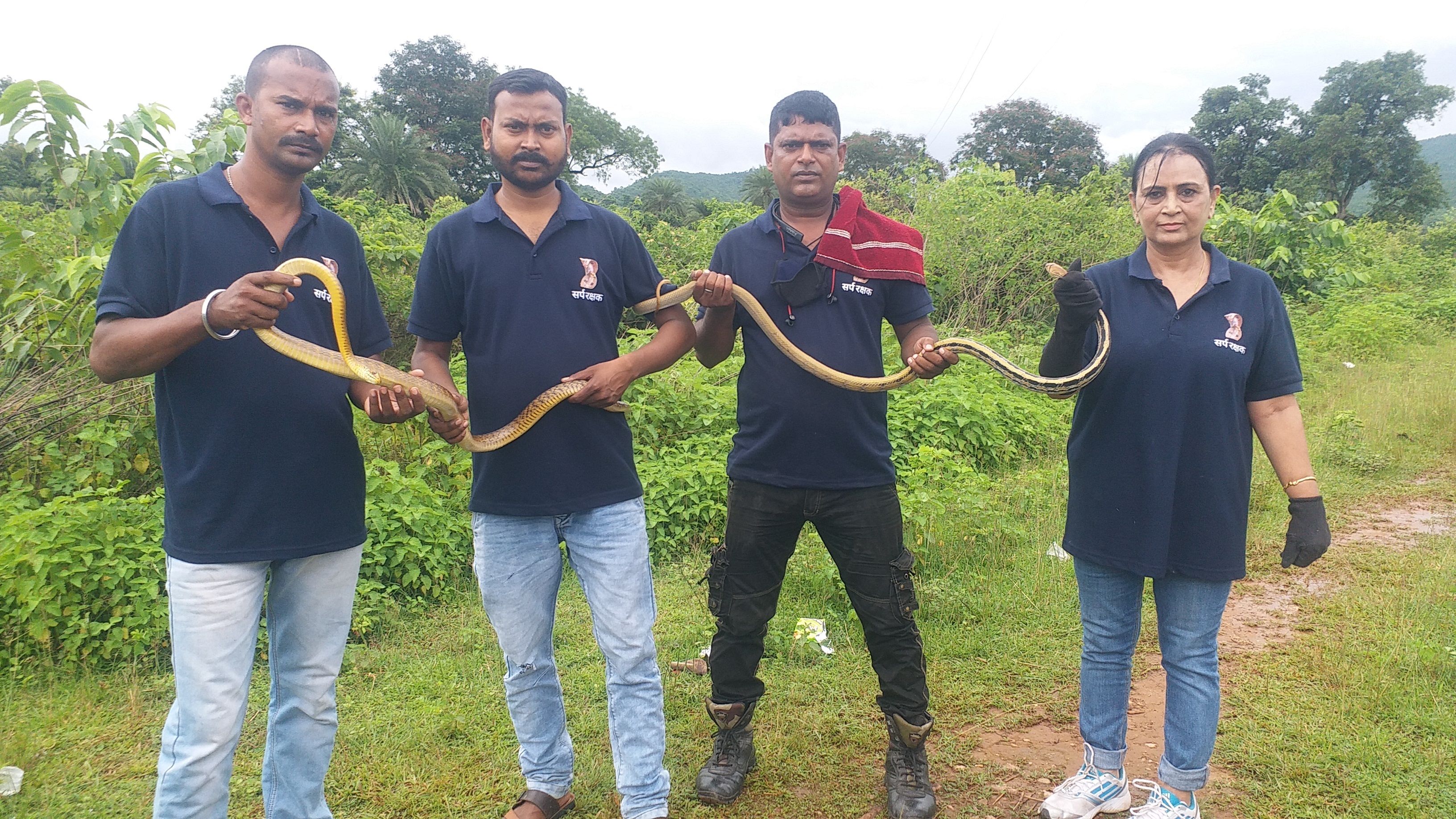 Snake Catcher in Jamshedpur