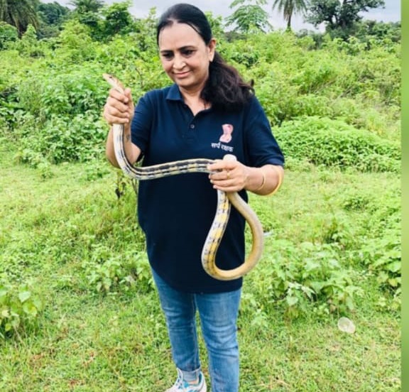 Snake Catcher in Jamshedpur