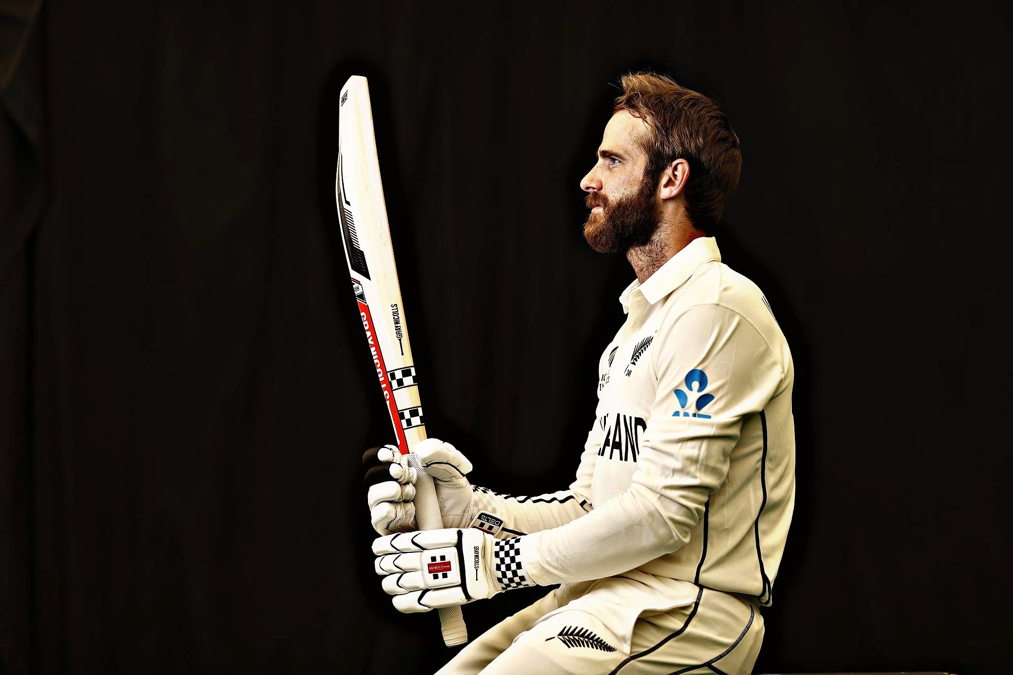 Newzland Captain Kane Williamson