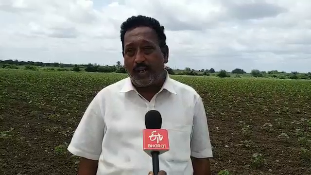 tummilla lift irrigation farmers