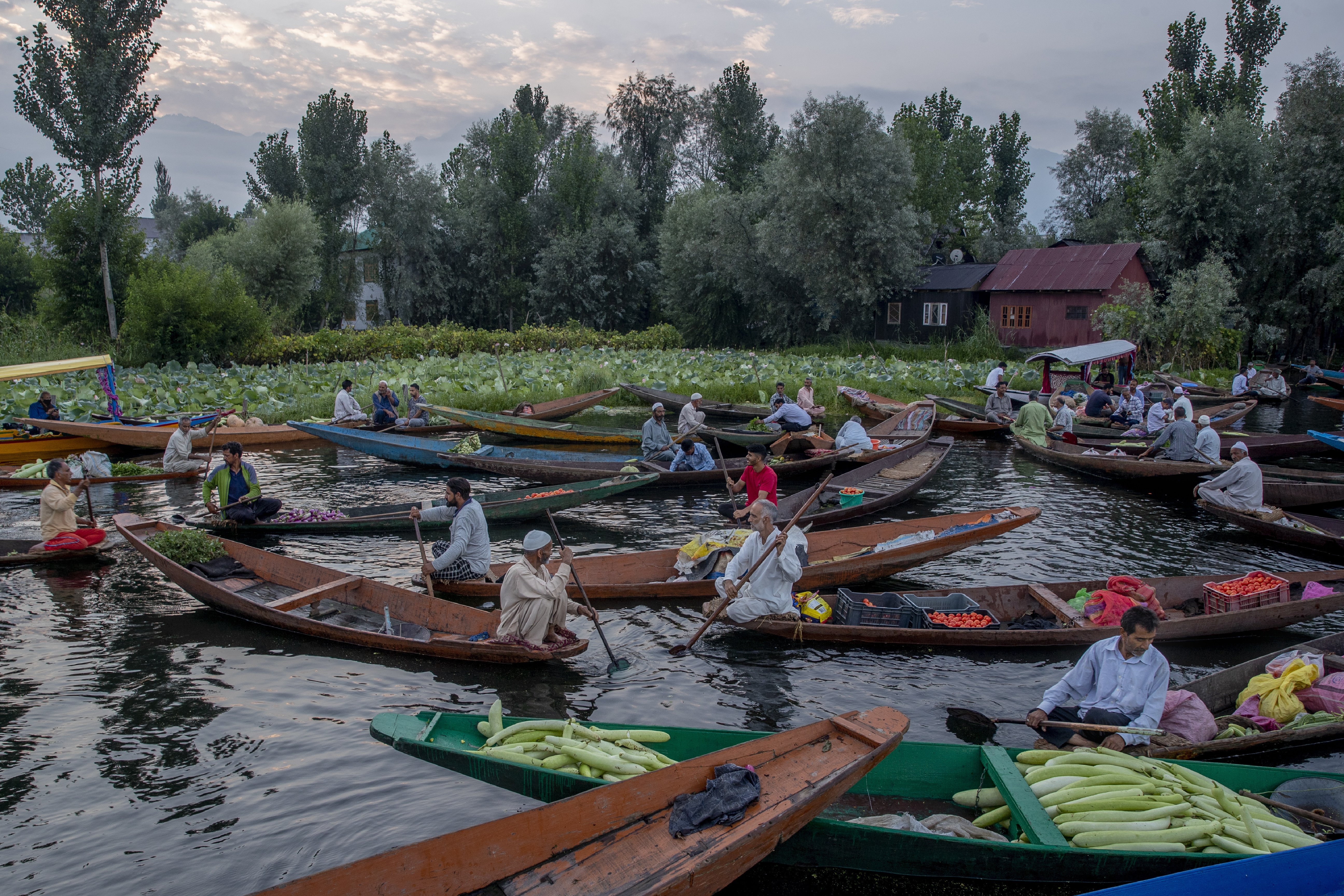 kashmir floating vegetable market