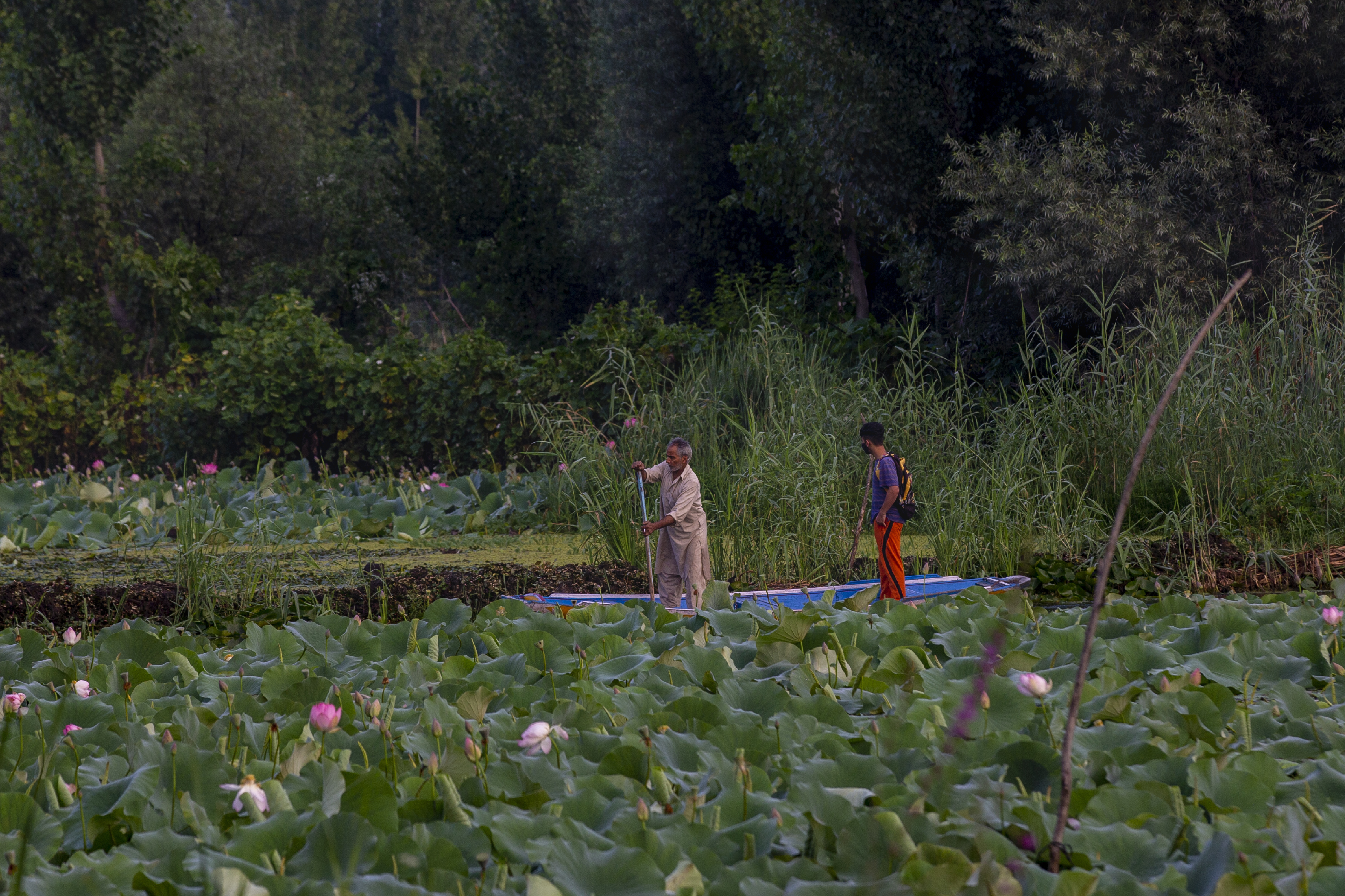 kashmir floating vegetable market