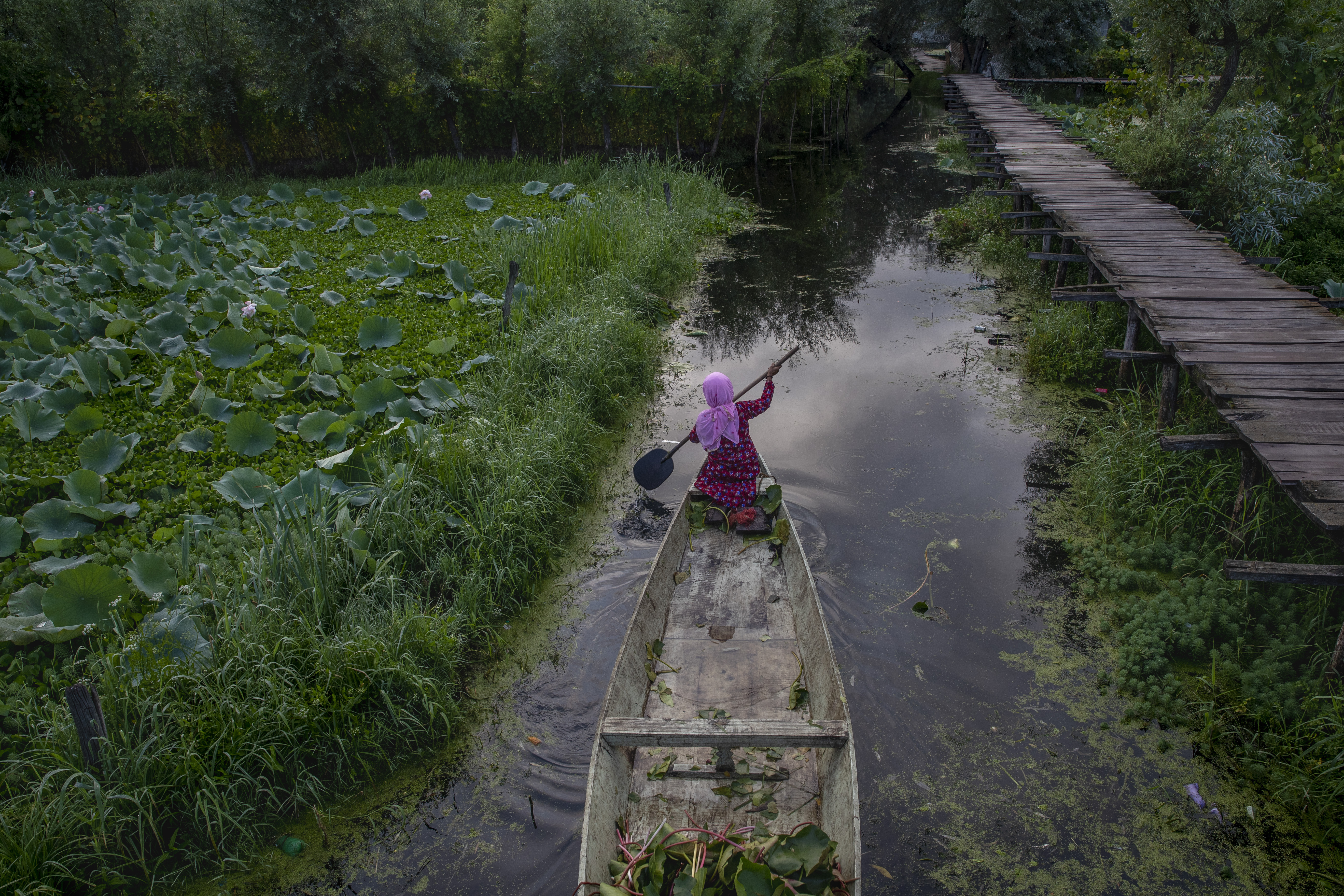 kashmir floating vegetable market