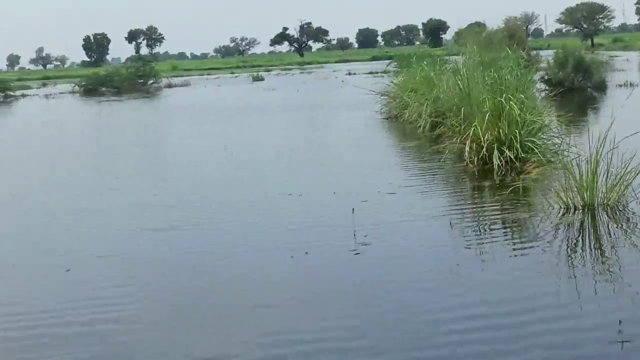 charkhi dadri waterlogging