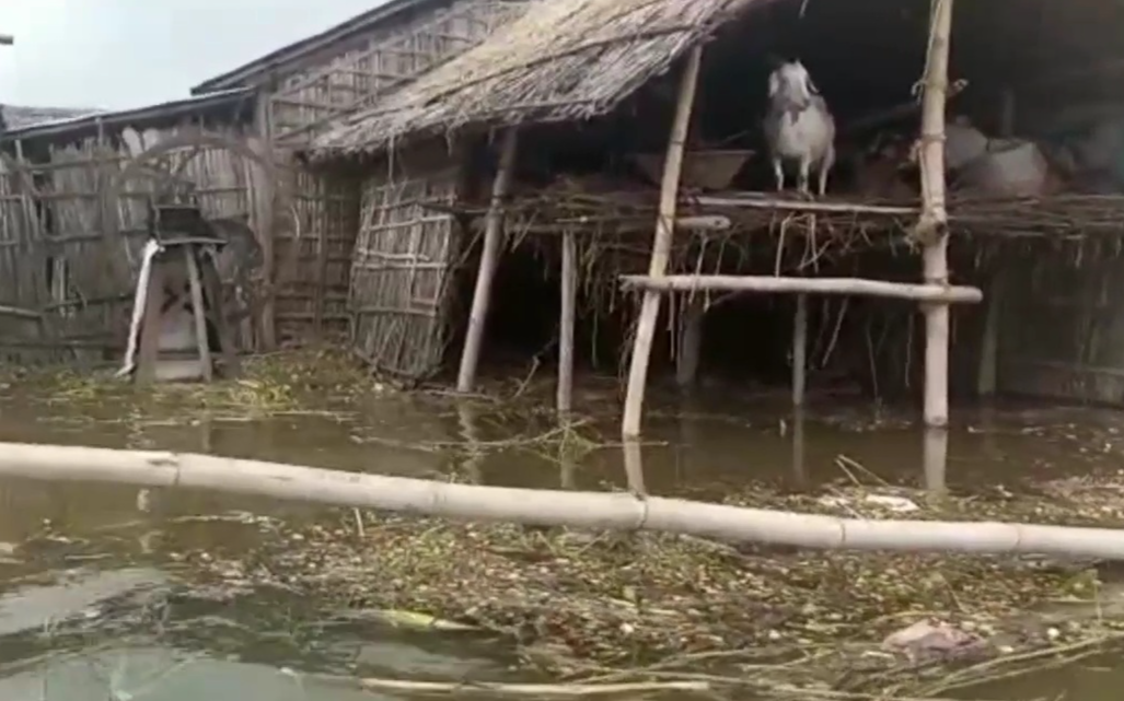 Flood like situation in Diara area of Sahibganj