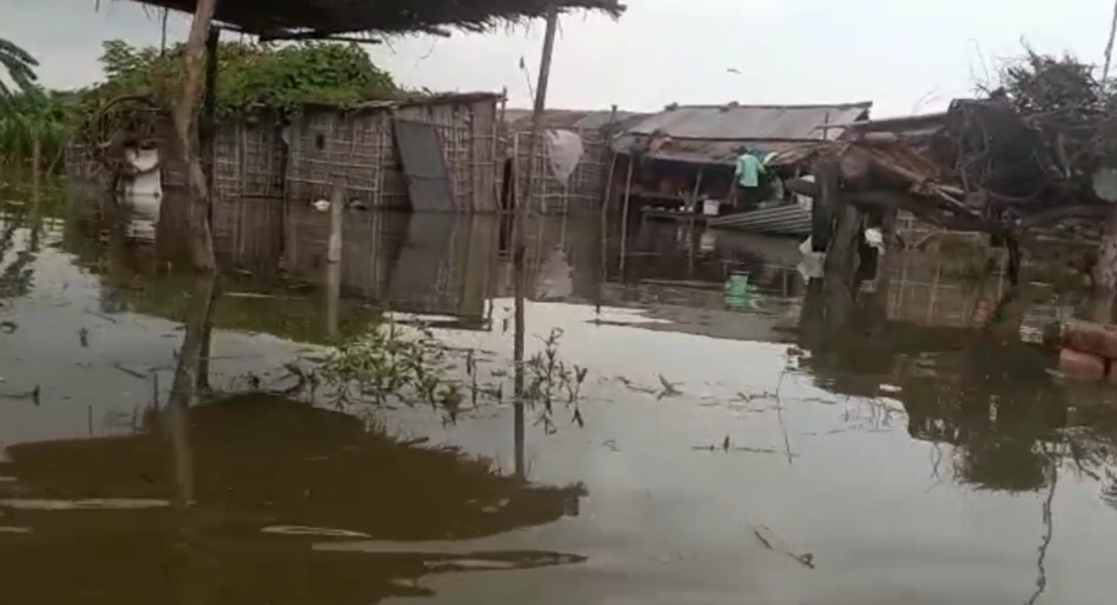 Flood like situation in Diara area of Sahibganj