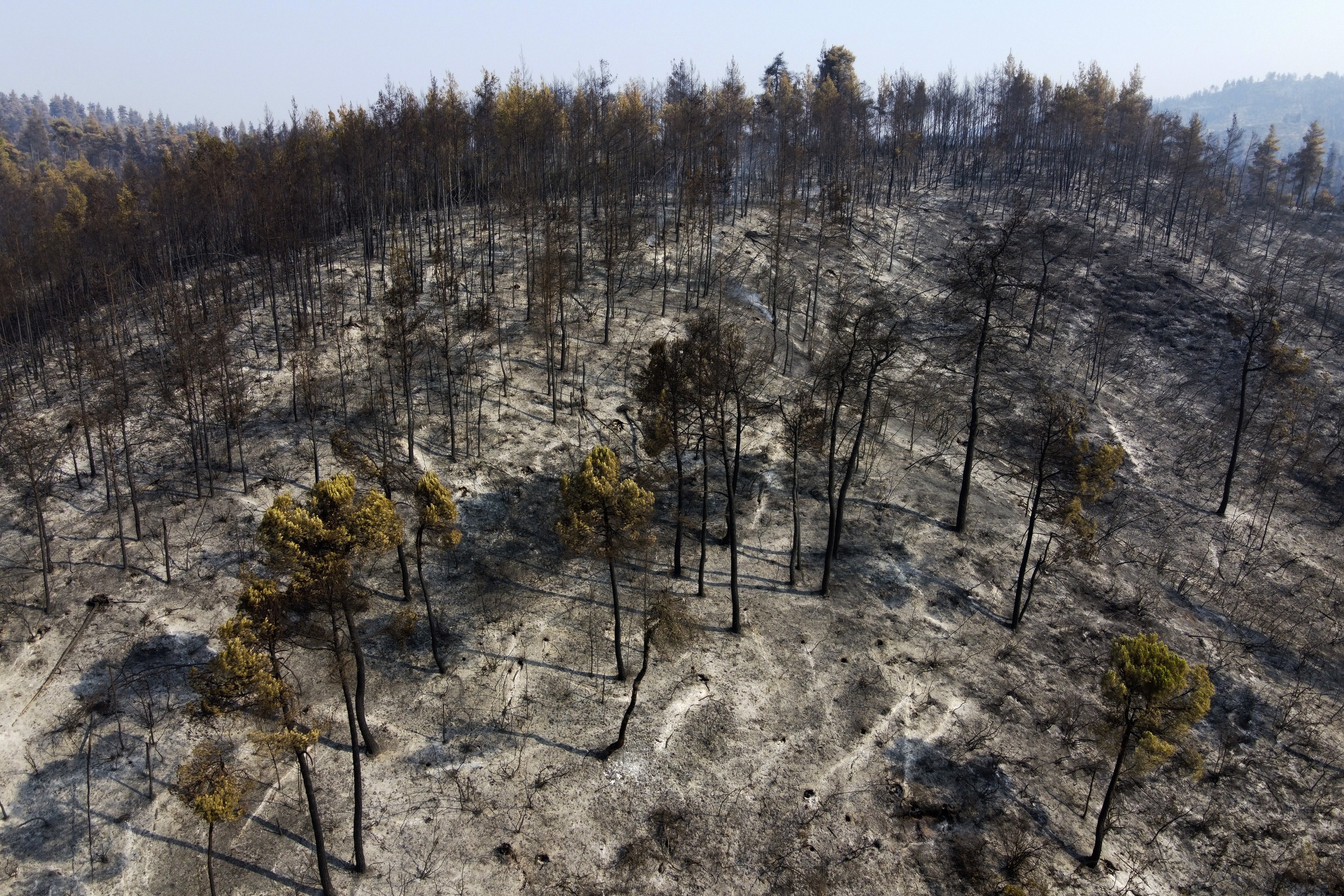 A burnt mountain after a wildfire near Agriovotano village