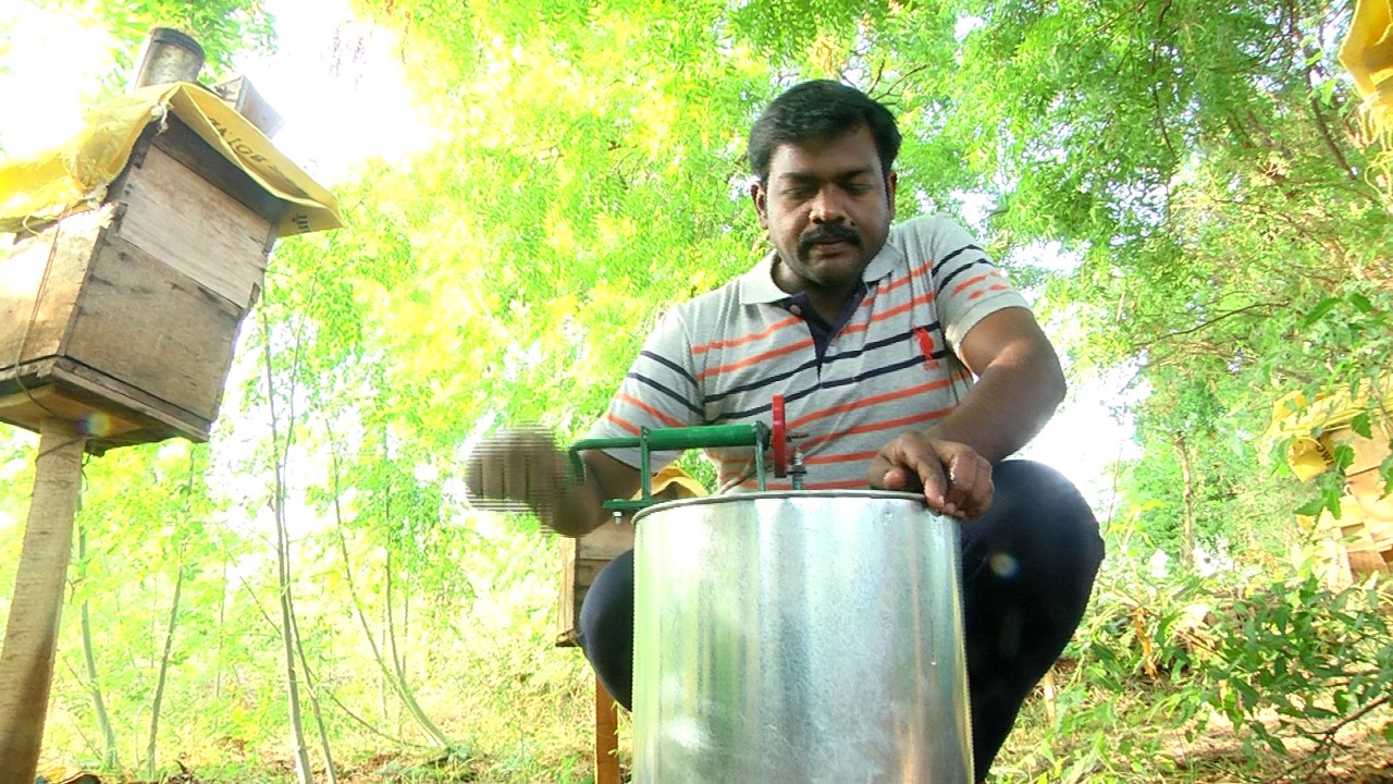 முருங்கை மலர்த் தேன் உற்பத்தி