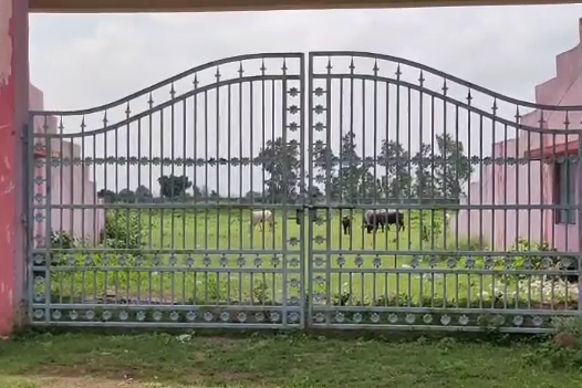 There is a lock on gate of the field