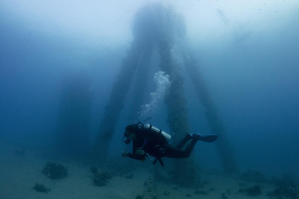 EilSecretive Israel-UAE oil deal endangers prized Eilat coralsat corals