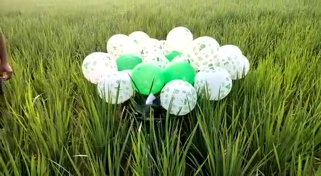 I love Pakistan balloons